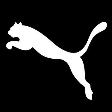 Kering might be considering Puma's sale