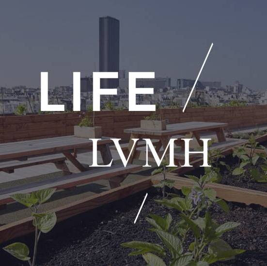 LIFE 2020: four environmental excellence objectives at LVMH - LVMH