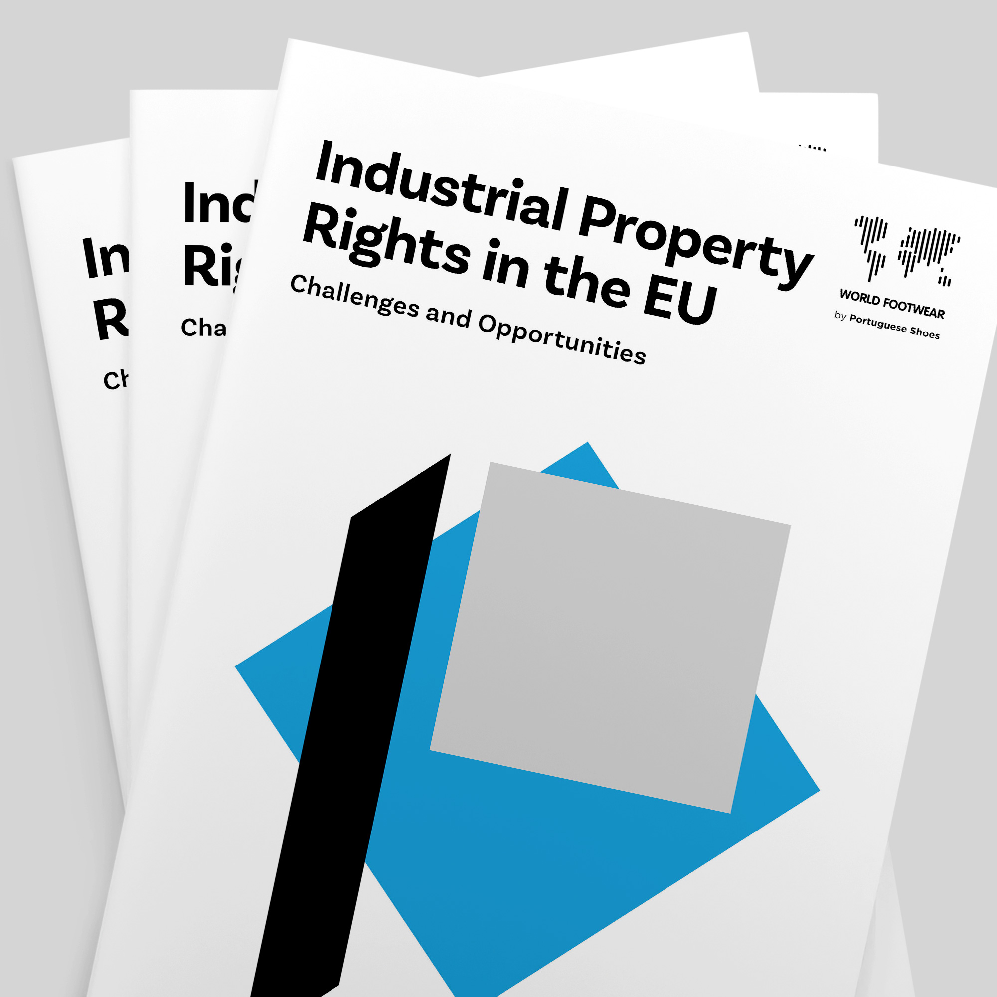 Industrial Property Rights in the EU: Challenges and Opportunities for the Footwear Industry