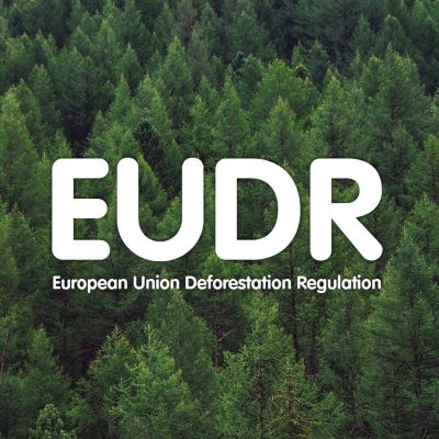 EU Parliament approves one-year postponement of EUDR start date EU Parliament approves one-year postponement of EUDR start date
