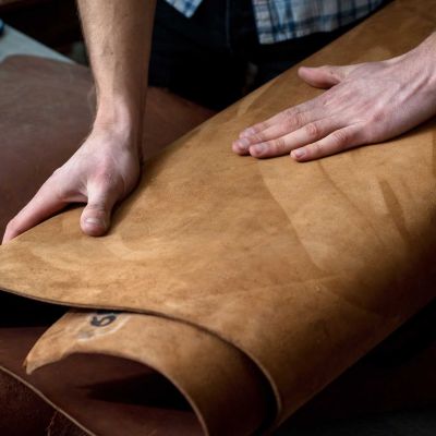 Leather Naturally appoints two new members to its Management Board Leather Naturally appoints two new members to its Management Board