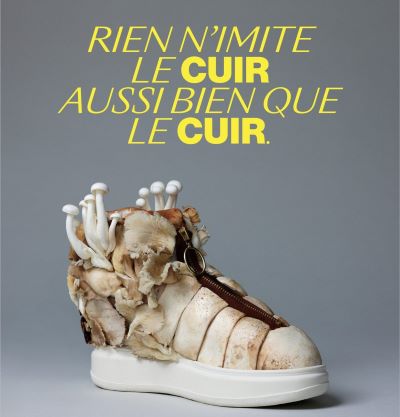 Alliance France Cuir launches campaign in defence of leather 